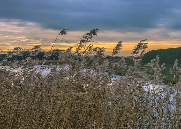 Bnb Onder De Blauwe Hemel Bed & Breakfast Vlijmen