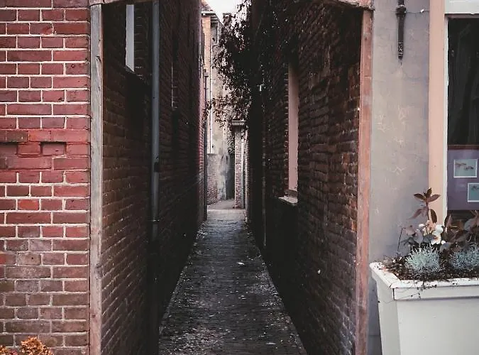 Bnb Onder De Blauwe Hemel Bed and Breakfast